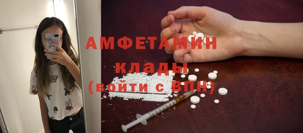 шишки Новозыбков