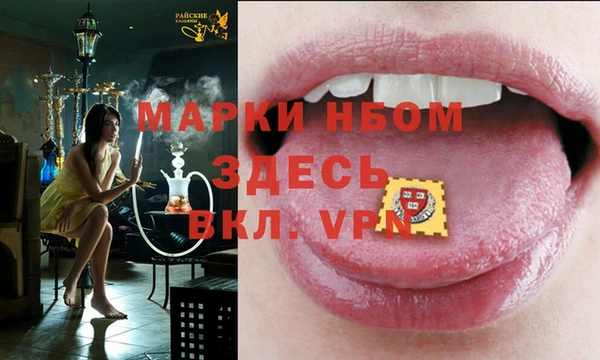шишки Новозыбков