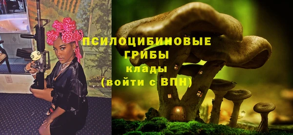 шишки Новозыбков