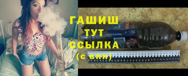 шишки Новозыбков